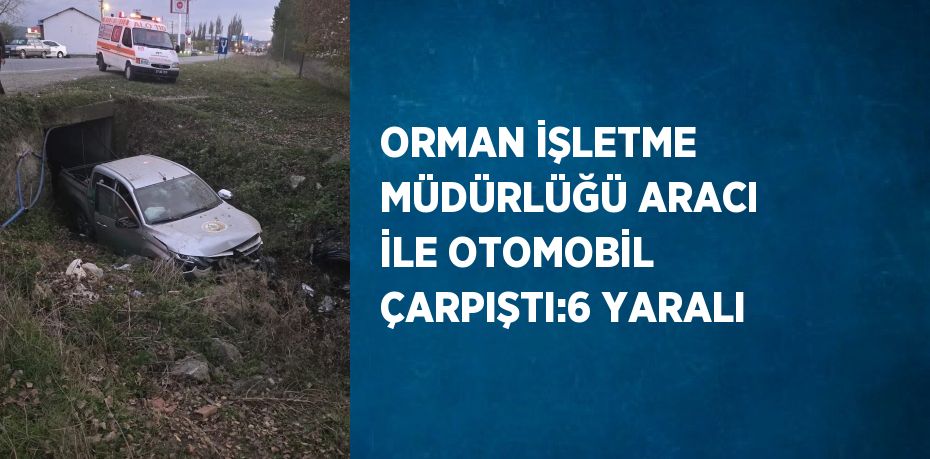 ORMAN İŞLETME MÜDÜRLÜĞÜ ARACI İLE OTOMOBİL ÇARPIŞTI:6 YARALI