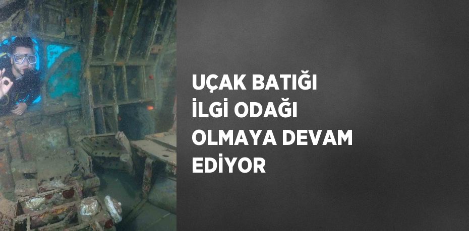 UÇAK BATIĞI İLGİ ODAĞI OLMAYA DEVAM EDİYOR