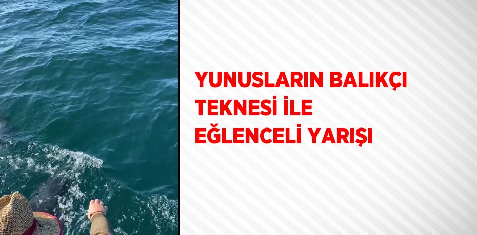 YUNUSLARIN BALIKÇI TEKNESİ İLE EĞLENCELİ YARIŞI