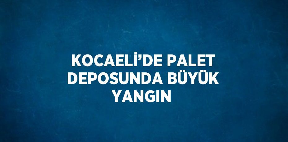 KOCAELİ’DE PALET DEPOSUNDA BÜYÜK YANGIN