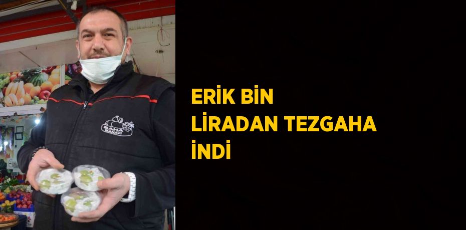 ERİK BİN LİRADAN TEZGAHA İNDİ