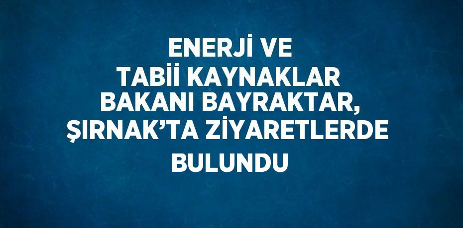 ENERJİ VE TABİİ KAYNAKLAR BAKANI BAYRAKTAR, ŞIRNAK’TA ZİYARETLERDE BULUNDU