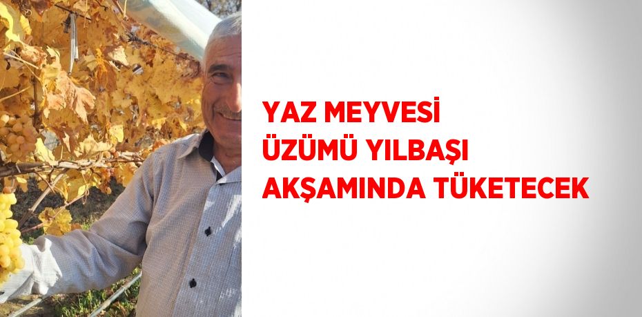 YAZ MEYVESİ ÜZÜMÜ YILBAŞI AKŞAMINDA TÜKETECEK