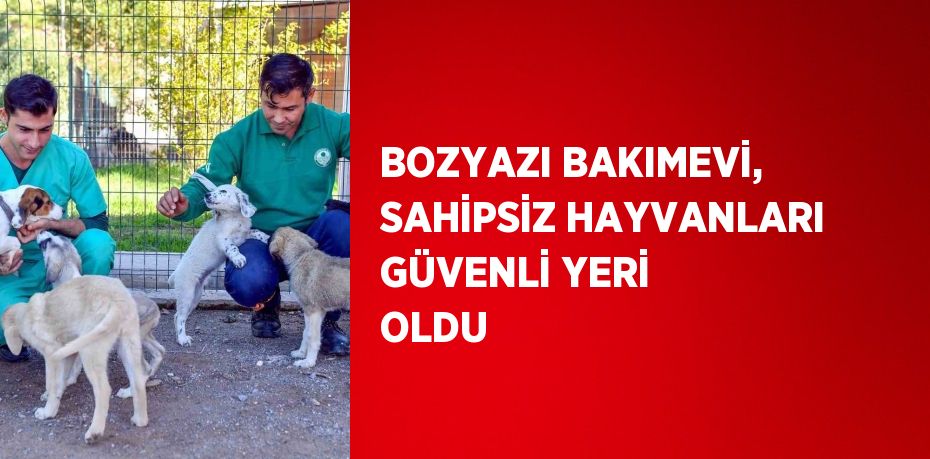 BOZYAZI BAKIMEVİ, SAHİPSİZ HAYVANLARI GÜVENLİ YERİ OLDU