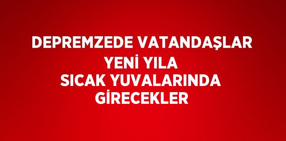 DEPREMZEDE VATANDAŞLAR YENİ YILA SICAK YUVALARINDA GİRECEKLER