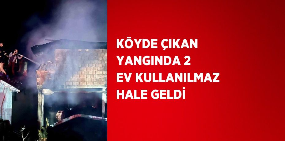 KÖYDE ÇIKAN YANGINDA 2 EV KULLANILMAZ HALE GELDİ