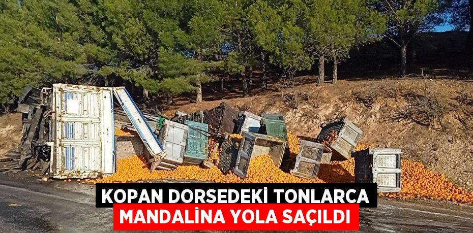 KOPAN DORSEDEKİ TONLARCA MANDALİNA YOLA SAÇILDI