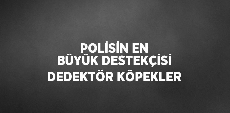 POLİSİN EN BÜYÜK DESTEKÇİSİ DEDEKTÖR KÖPEKLER