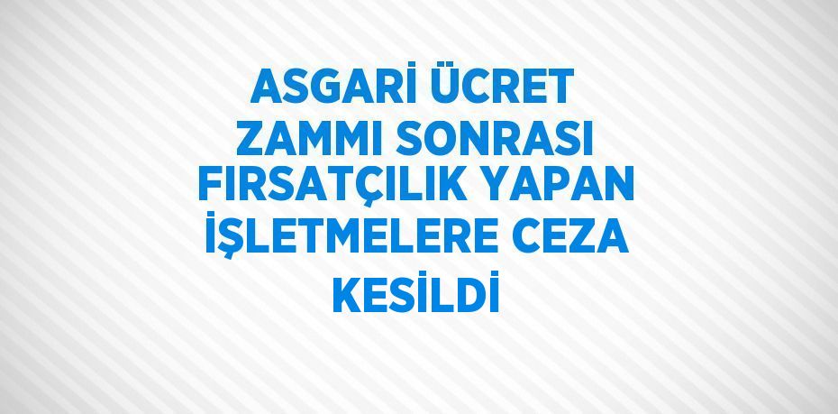 ASGARİ ÜCRET ZAMMI SONRASI FIRSATÇILIK YAPAN İŞLETMELERE CEZA KESİLDİ