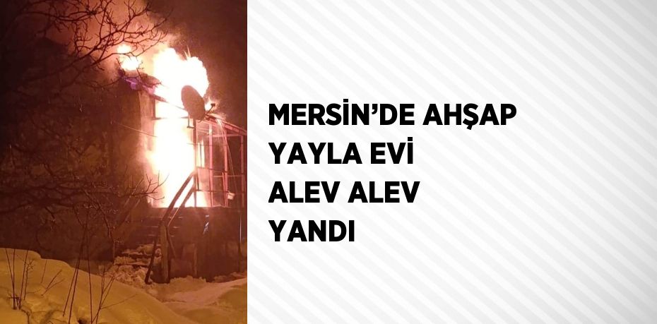 MERSİN’DE AHŞAP YAYLA EVİ ALEV ALEV YANDI