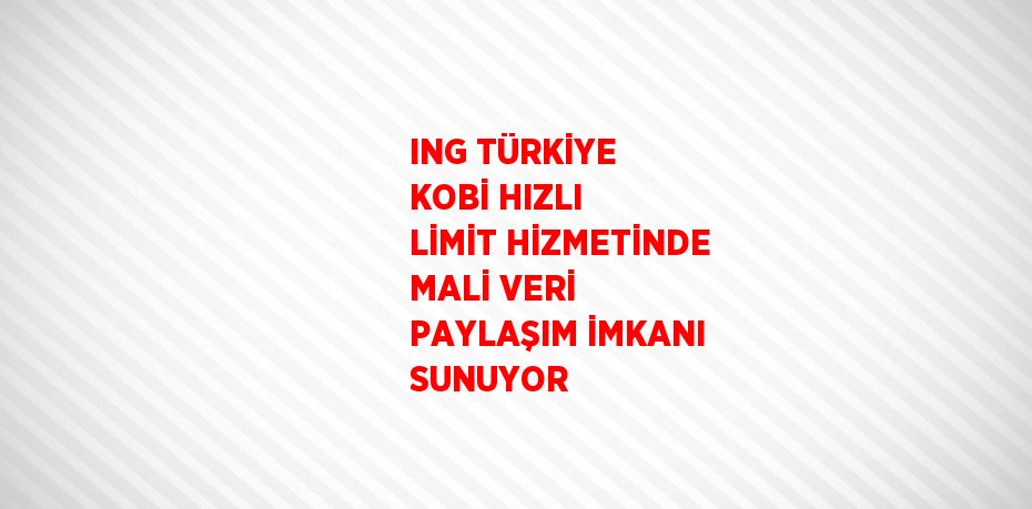 ING TÜRKİYE KOBİ HIZLI LİMİT HİZMETİNDE MALİ VERİ PAYLAŞIM İMKANI SUNUYOR