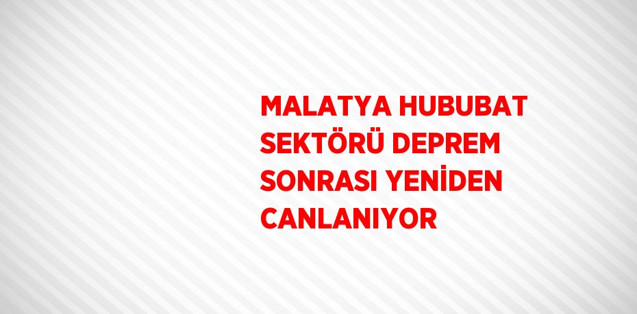 MALATYA HUBUBAT SEKTÖRÜ DEPREM SONRASI YENİDEN CANLANIYOR