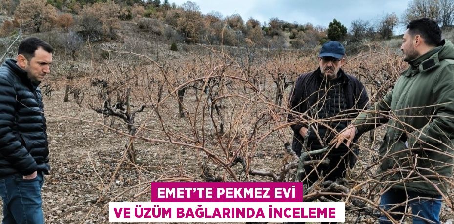 EMET’TE PEKMEZ EVİ VE ÜZÜM BAĞLARINDA İNCELEME