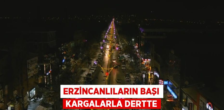 ERZİNCANLILARIN BAŞI KARGALARLA DERTTE