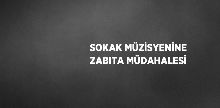 SOKAK MÜZİSYENİNE ZABITA MÜDAHALESİ