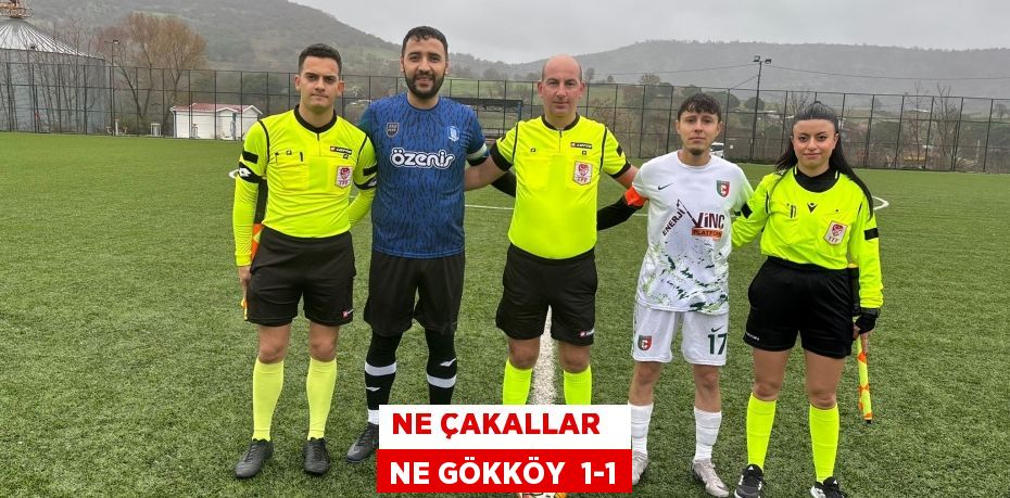 NE ÇAKALLAR   NE GÖKKÖY  1-1