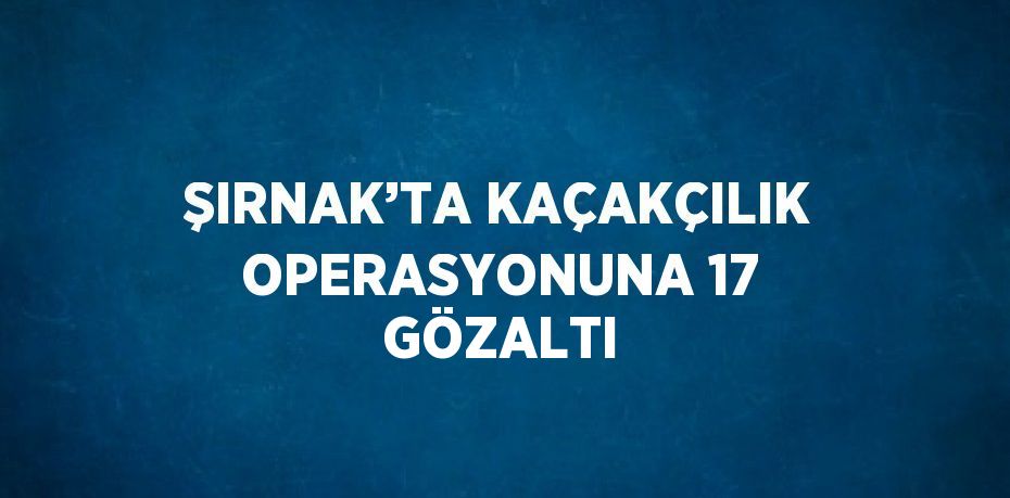 ŞIRNAK’TA KAÇAKÇILIK OPERASYONUNA 17 GÖZALTI