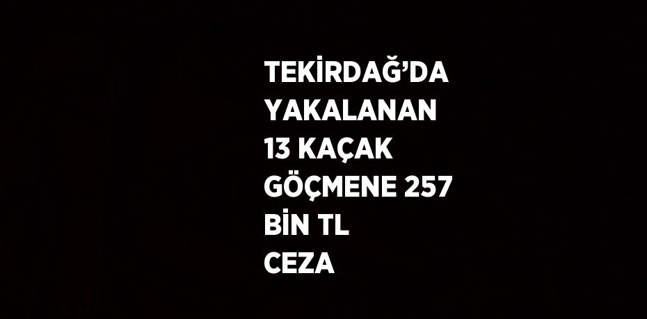 TEKİRDAĞ’DA YAKALANAN 13 KAÇAK GÖÇMENE 257 BİN TL CEZA