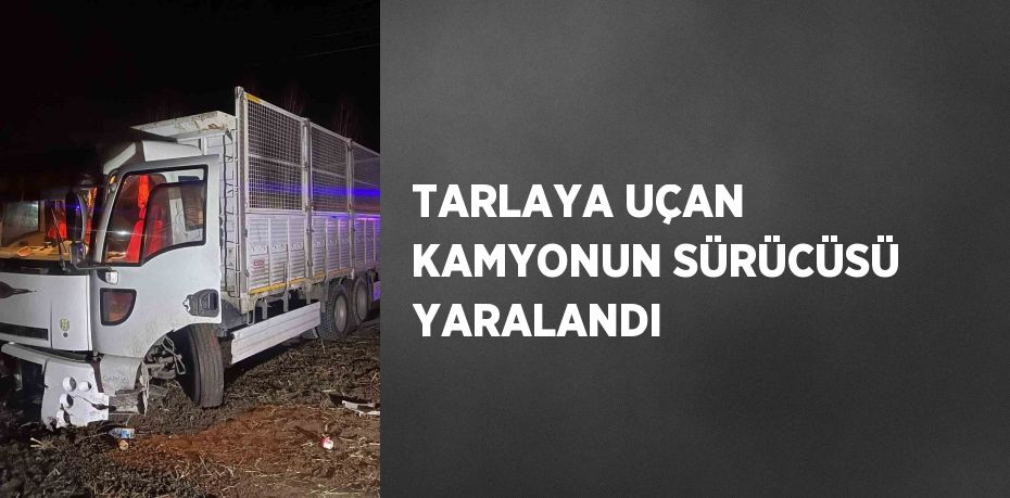 TARLAYA UÇAN KAMYONUN SÜRÜCÜSÜ YARALANDI