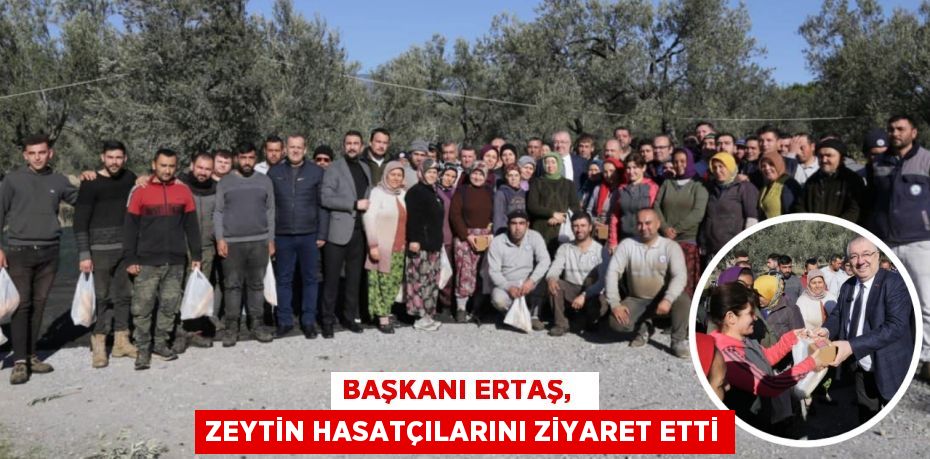 BAŞKANI ERTAŞ,   ZEYTİN HASATÇILARINI ZİYARET ETTİ