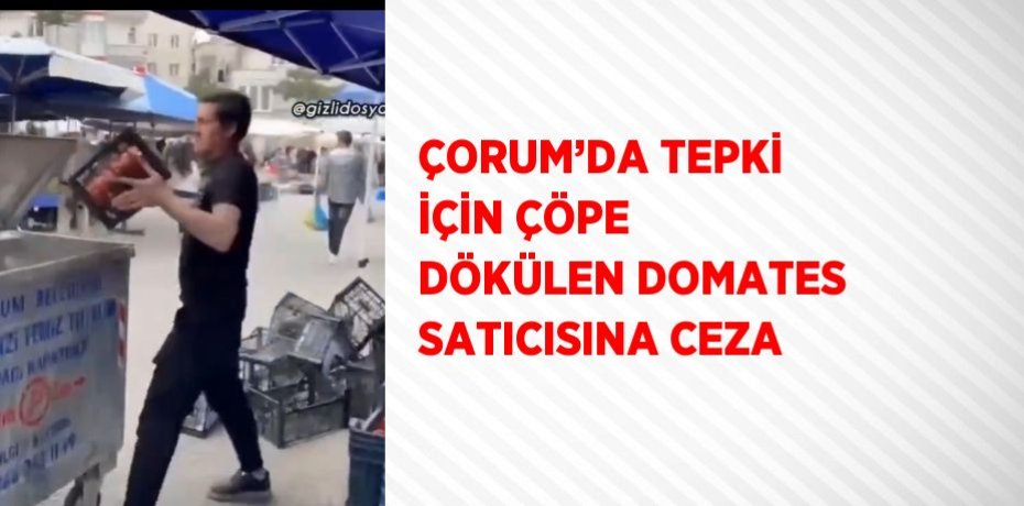 ÇORUM’DA TEPKİ İÇİN ÇÖPE DÖKÜLEN DOMATES SATICISINA CEZA