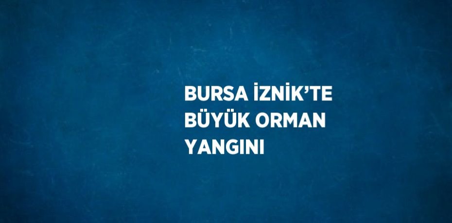 BURSA İZNİK’TE BÜYÜK ORMAN YANGINI BURSA İZNİK’TE BÜYÜK ORMAN YANGINI