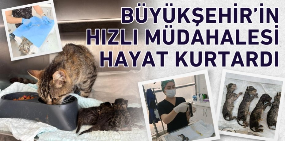 BÜYÜKŞEHİR’İN HIZLI MÜDAHALESİ HAYAT KURTARDI