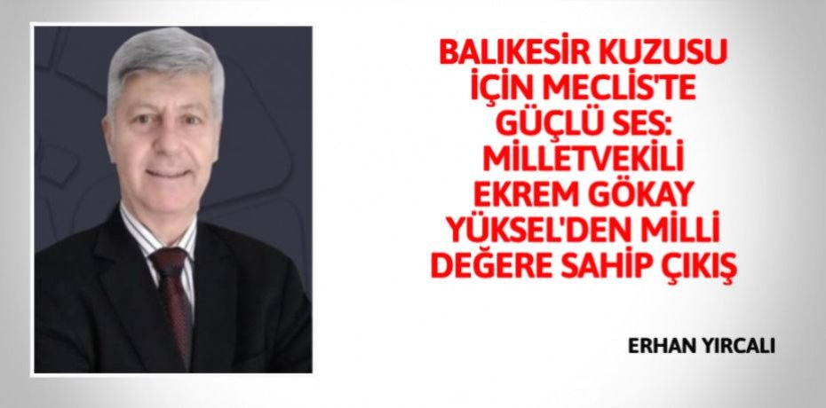 BALIKESİR KUZUSU İÇİN MECLİS'TE GÜÇLÜ SES: MİLLETVEKİLİ EKREM GÖKAY YÜKSEL'DEN MİLLİ DEĞERE SAHİP ÇIKIŞ