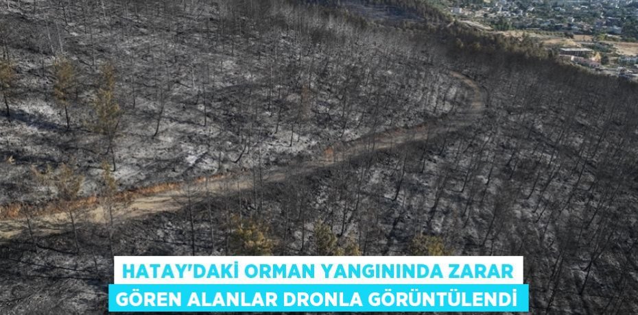 HATAY'DAKİ ORMAN YANGININDA ZARAR GÖREN ALANLAR DRONLA GÖRÜNTÜLENDİ HATAY'DAKİ ORMAN YANGININDA ZARAR GÖREN ALANLAR DRONLA GÖRÜNTÜLENDİ