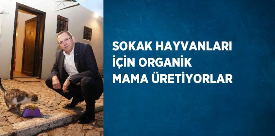 SOKAK HAYVANLARI İÇİN ORGANİK MAMA ÜRETİYORLAR