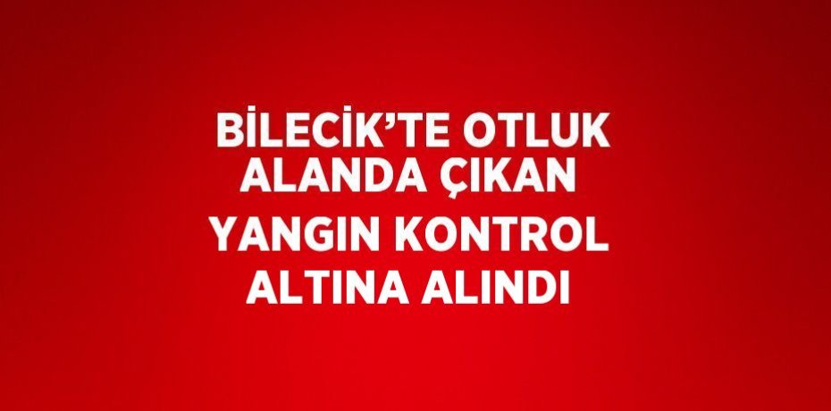 BİLECİK’TE OTLUK ALANDA ÇIKAN YANGIN KONTROL ALTINA ALINDI