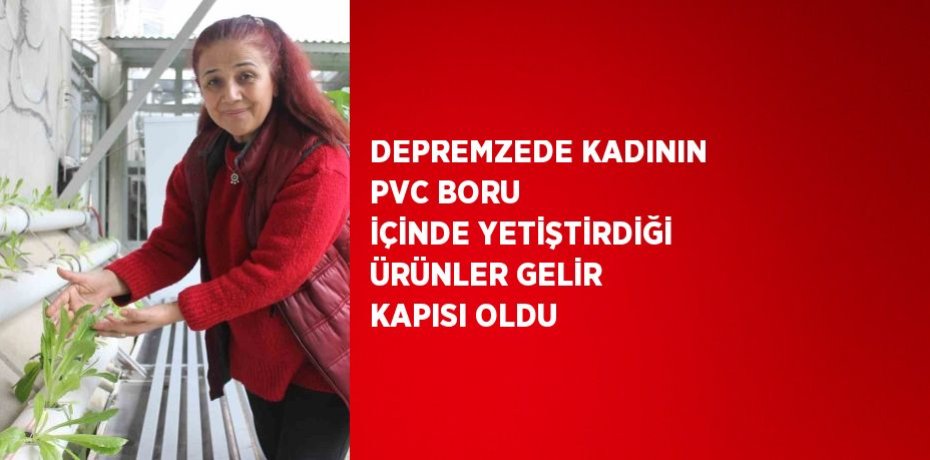 DEPREMZEDE KADININ PVC BORU İÇİNDE YETİŞTİRDİĞİ ÜRÜNLER GELİR KAPISI OLDU