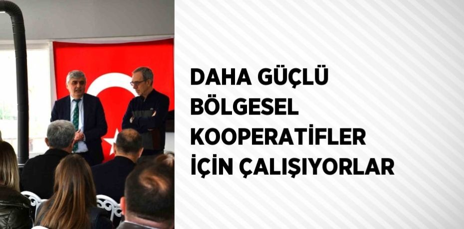 DAHA GÜÇLÜ BÖLGESEL KOOPERATİFLER İÇİN ÇALIŞIYORLAR