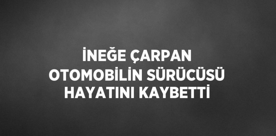 İNEĞE ÇARPAN OTOMOBİLİN SÜRÜCÜSÜ HAYATINI KAYBETTİ