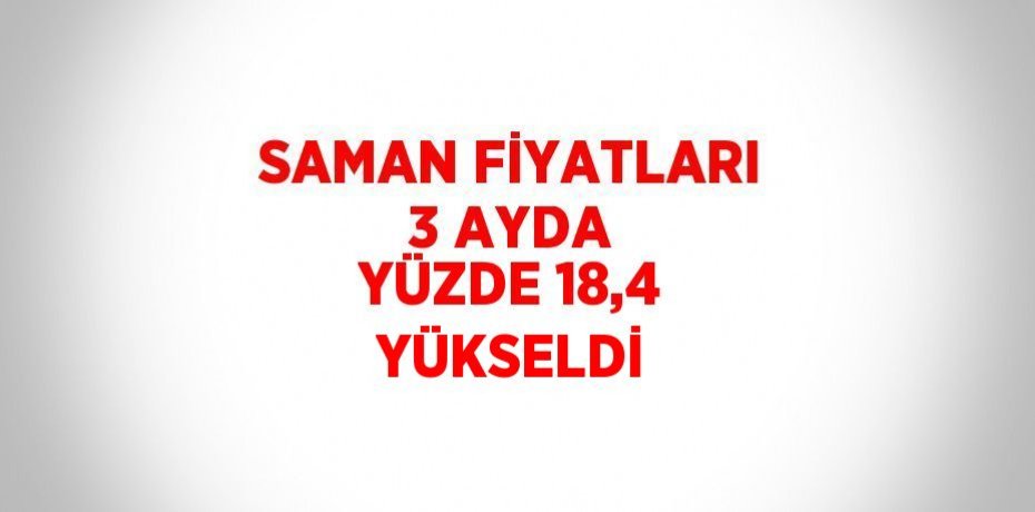 SAMAN FİYATLARI 3 AYDA YÜZDE 18,4 YÜKSELDİ