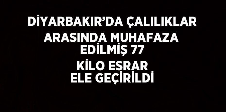 DİYARBAKIR’DA ÇALILIKLAR ARASINDA MUHAFAZA EDİLMİŞ 77 KİLO ESRAR ELE GEÇİRİLDİ