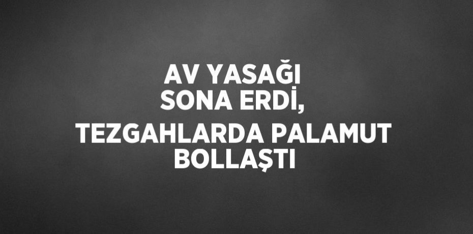 AV YASAĞI SONA ERDİ, TEZGAHLARDA PALAMUT BOLLAŞTI