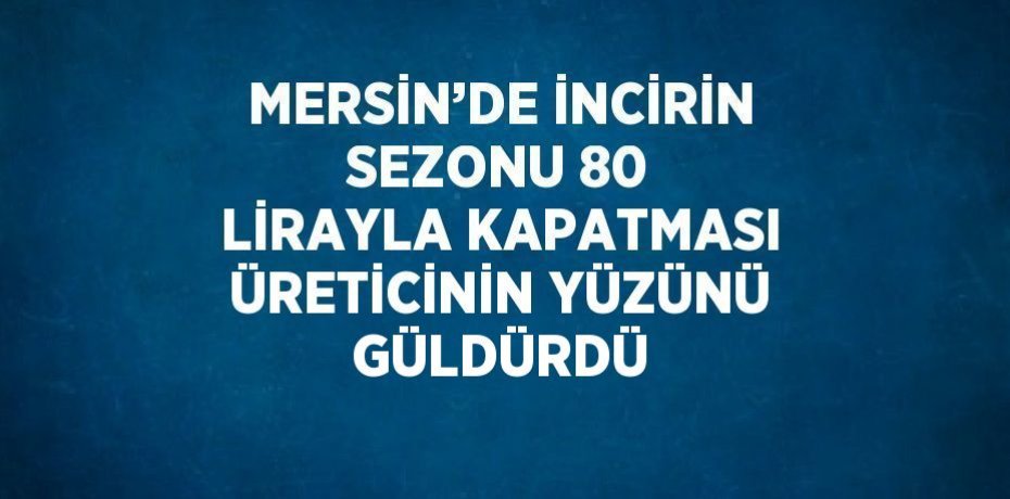 MERSİN’DE İNCİRİN SEZONU 80 LİRAYLA KAPATMASI ÜRETİCİNİN YÜZÜNÜ GÜLDÜRDÜ
