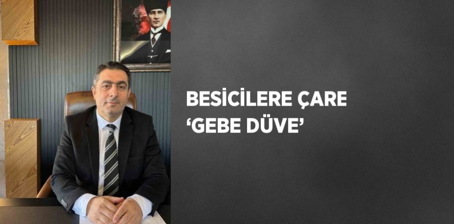 BESİCİLERE ÇARE ‘GEBE DÜVE’