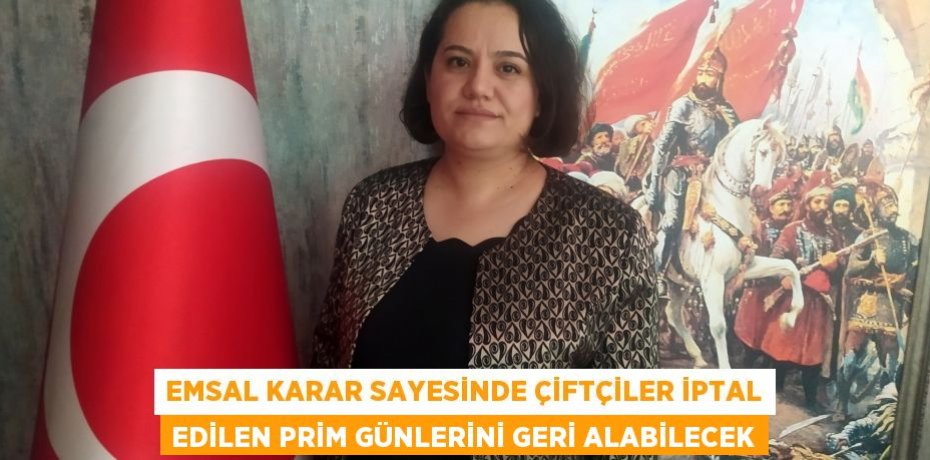 Emsal karar sayesinde çiftçiler iptal edilen prim günlerini geri alabilecek