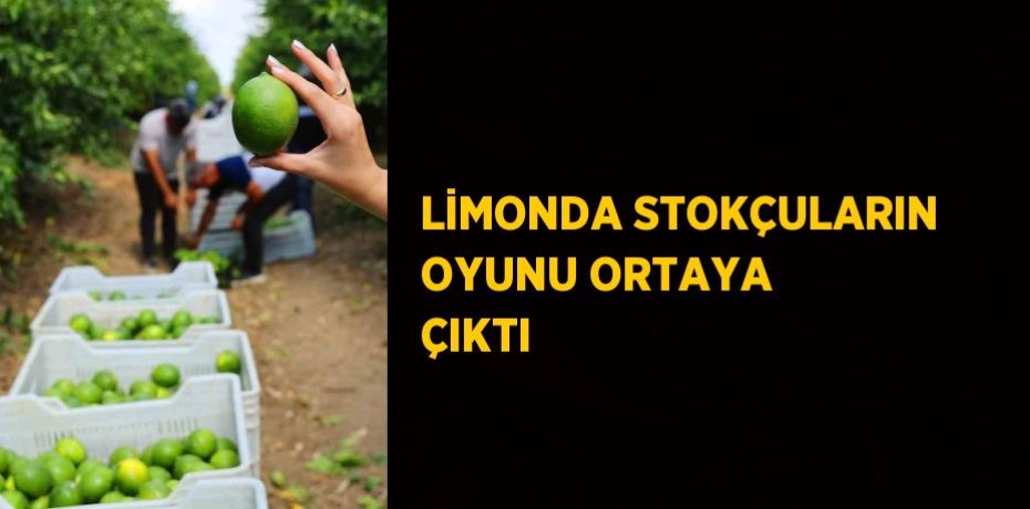 LİMONDA STOKÇULARIN OYUNU ORTAYA ÇIKTI