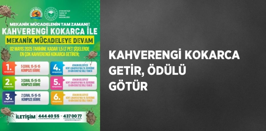 KAHVERENGİ KOKARCA GETİR, ÖDÜLÜ GÖTÜR