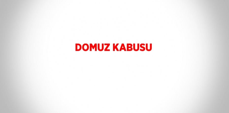 DOMUZ KABUSU