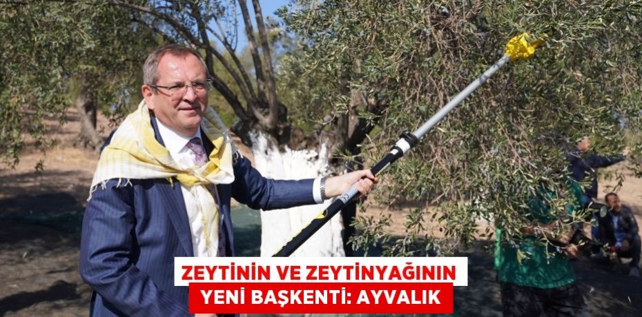 Zeytinin ve zeytinyağının  yeni başkenti: AYVALIK