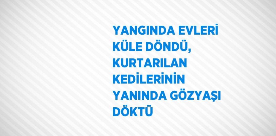 YANGINDA EVLERİ KÜLE DÖNDÜ, KURTARILAN KEDİLERİNİN YANINDA GÖZYAŞI DÖKTÜ
