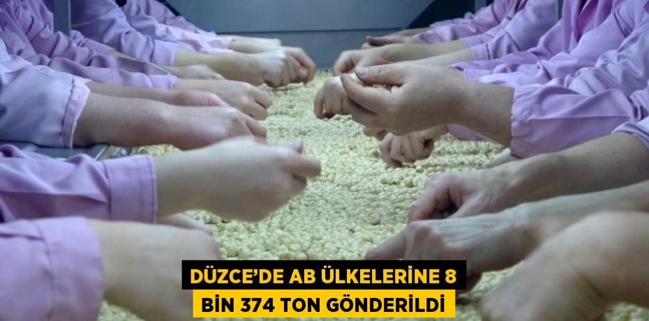 DÜZCE’DE AB ÜLKELERİNE 8 BİN 374 TON GÖNDERİLDİ