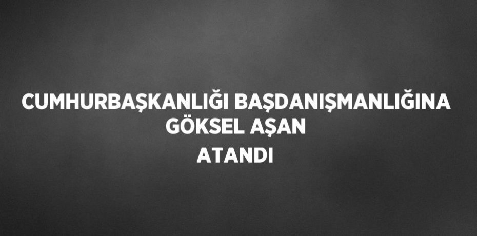 CUMHURBAŞKANLIĞI BAŞDANIŞMANLIĞINA GÖKSEL AŞAN ATANDI