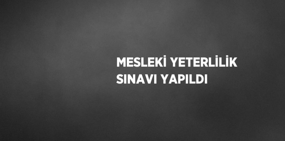 MESLEKİ YETERLİLİK SINAVI YAPILDI