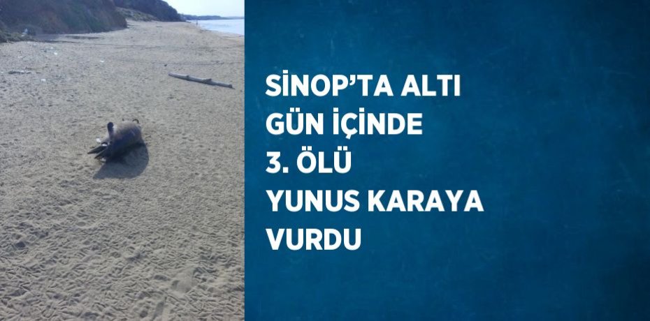 SİNOP’TA ALTI GÜN İÇİNDE 3. ÖLÜ YUNUS KARAYA VURDU