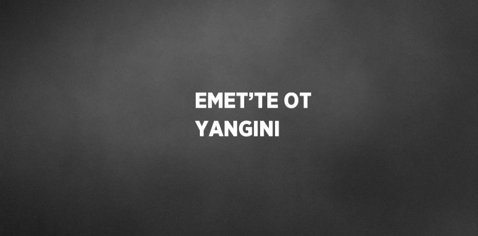 EMET’TE OT YANGINI